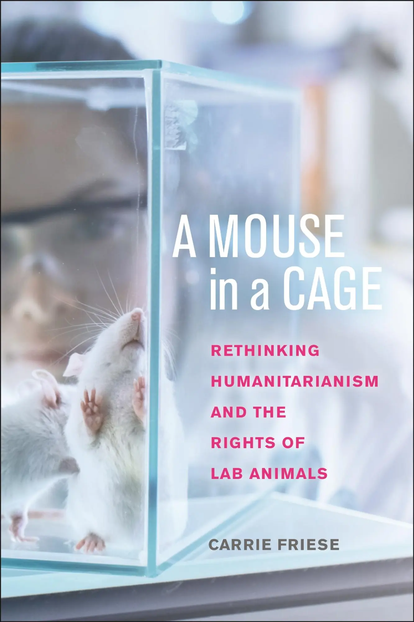 Cover: 9781479833481 | A Mouse in a Cage | Carrie Friese | Taschenbuch | Englisch | 2025