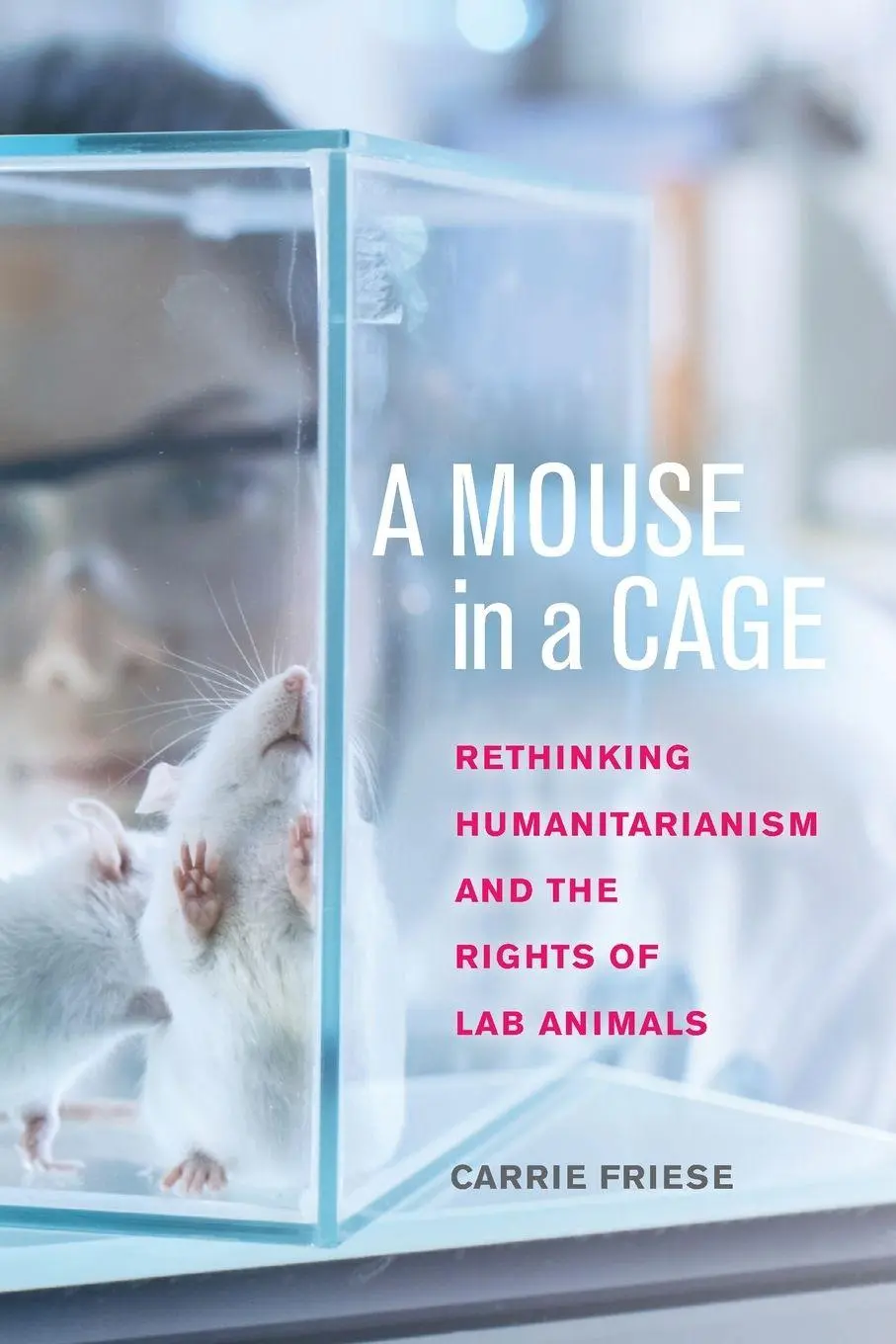 Cover: 9781479833481 | A Mouse in a Cage | Carrie Friese | Taschenbuch | Englisch | 2025 Cover: 9781479833481 | A Mouse in a Cage | Carrie Friese | Taschenbuch | Englisch | 2025