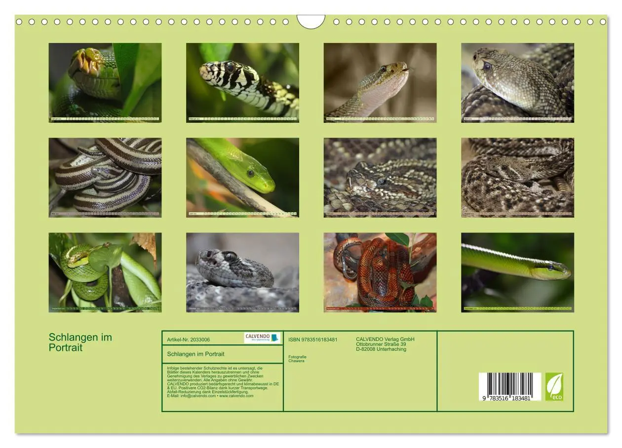 Bild: 9783516183481 | Schlangen im Portrait (Wandkalender 2026 DIN A3 quer), CALVENDO...