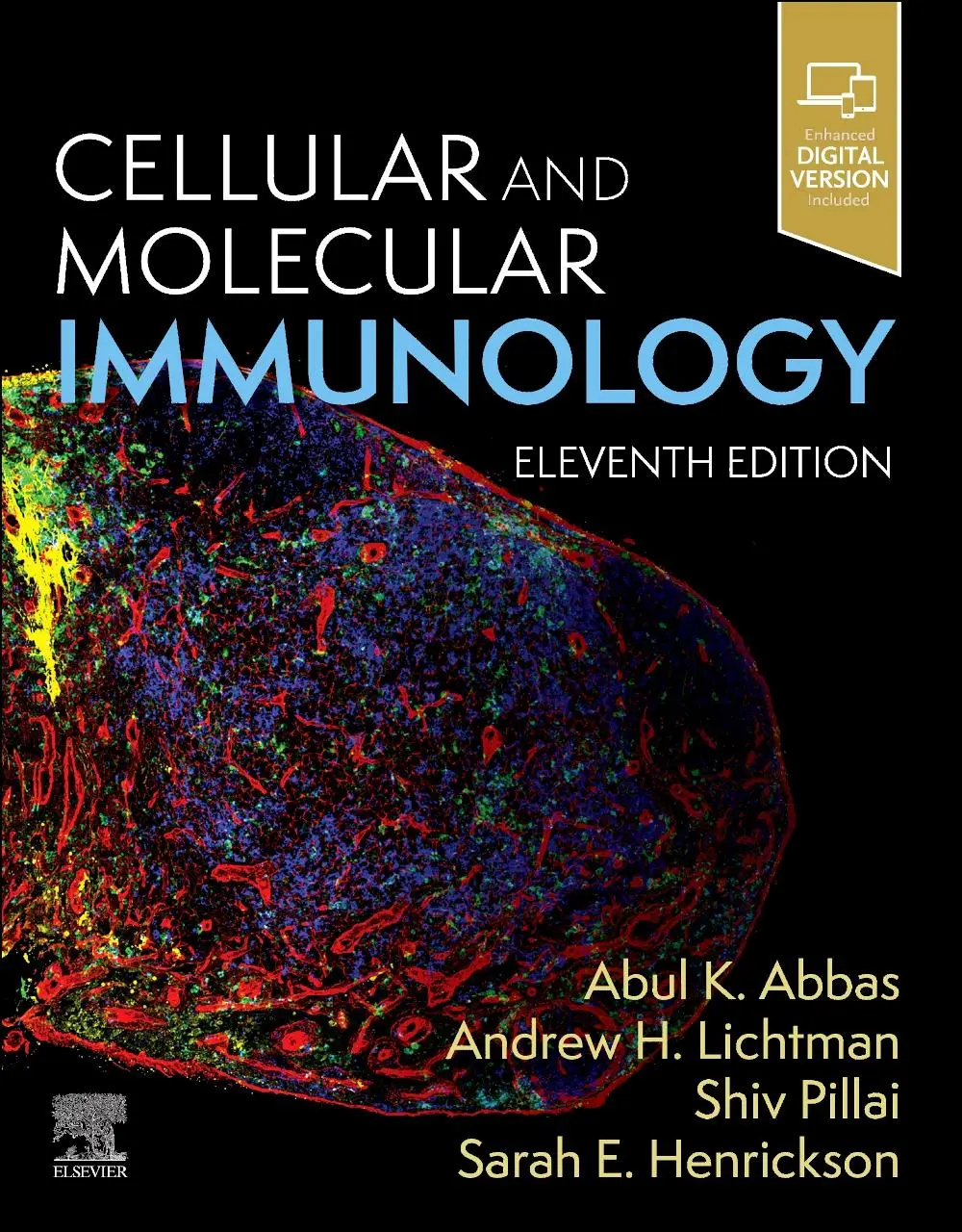 Cover: 9780443283581 | Cellular and Molecular Immunology | Abul K. Abbas (u. a.) | Buch