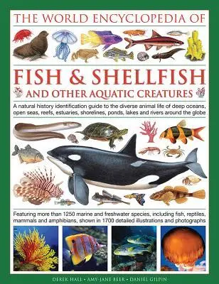 Cover: 9780754833581 | The Illlustrated Encyclopedia of Fish &amp; Shellfish of the World | Buch
