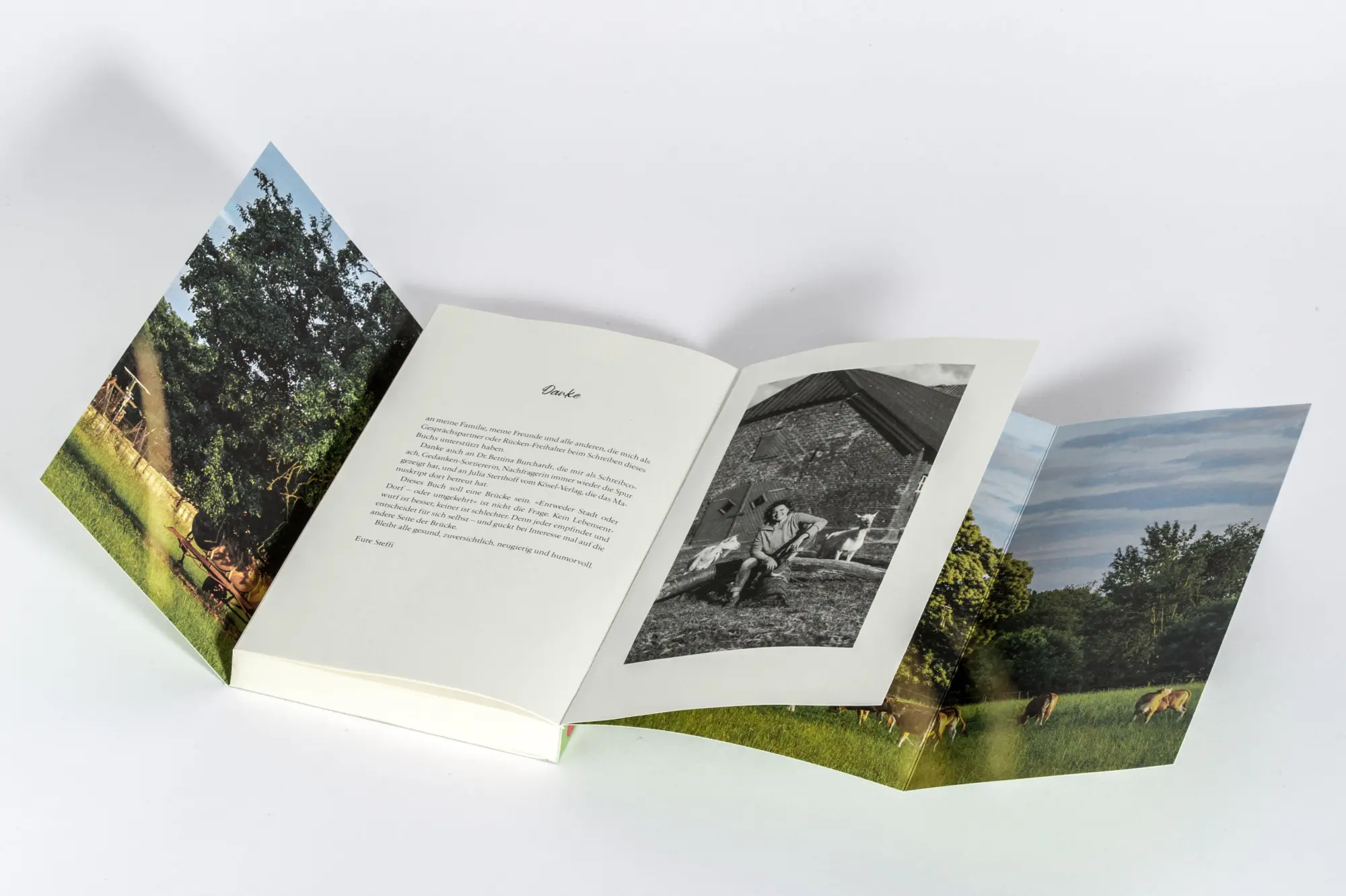 Bild: 9783466373581 | Landl(i)eben | Steffi Neu | Taschenbuch | 208 S. | Deutsch | 2026