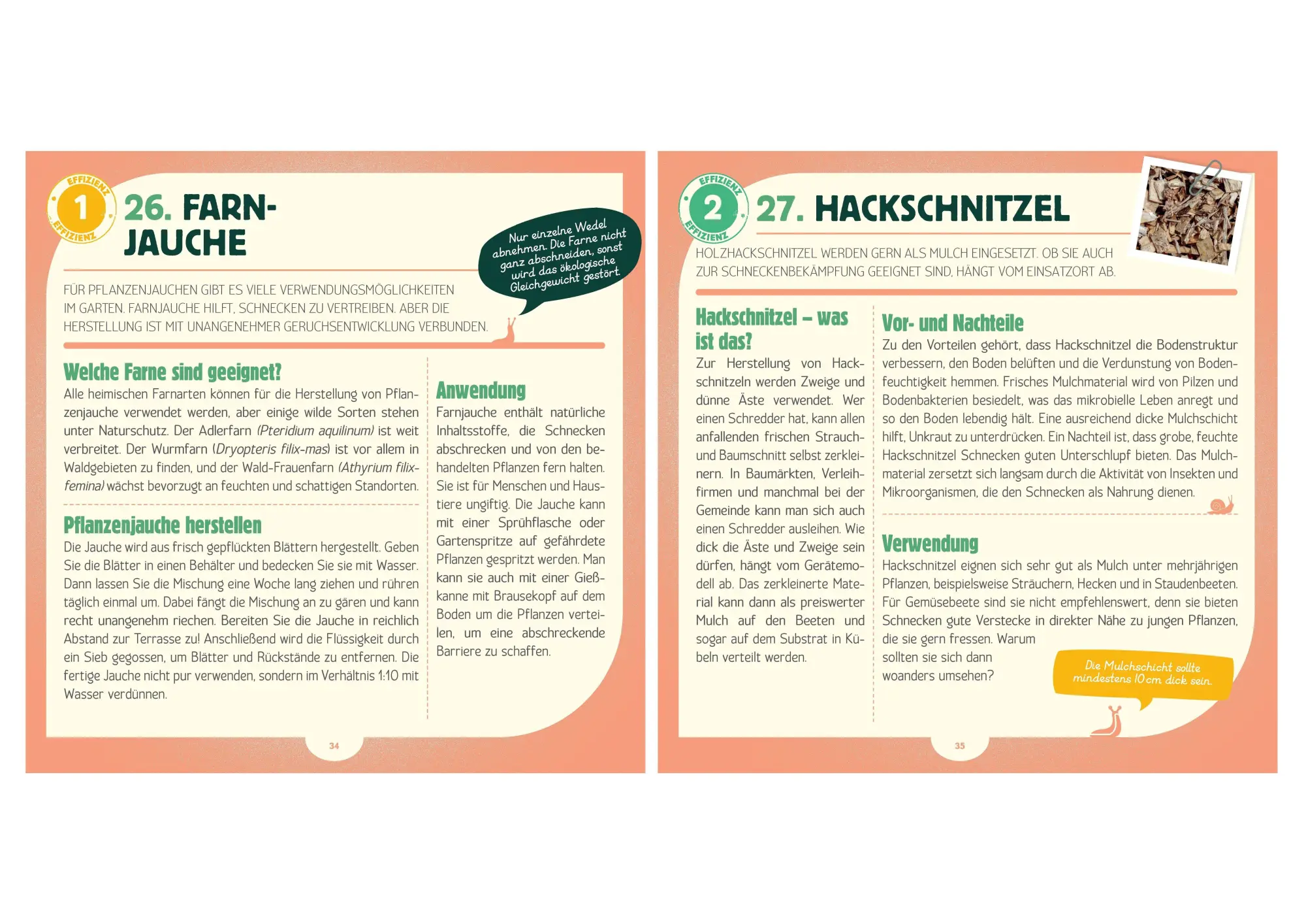 Bild: 9783809453581 | Tschüss, Schnecken - 50 Methoden gegen die ungeliebten Gartengäste