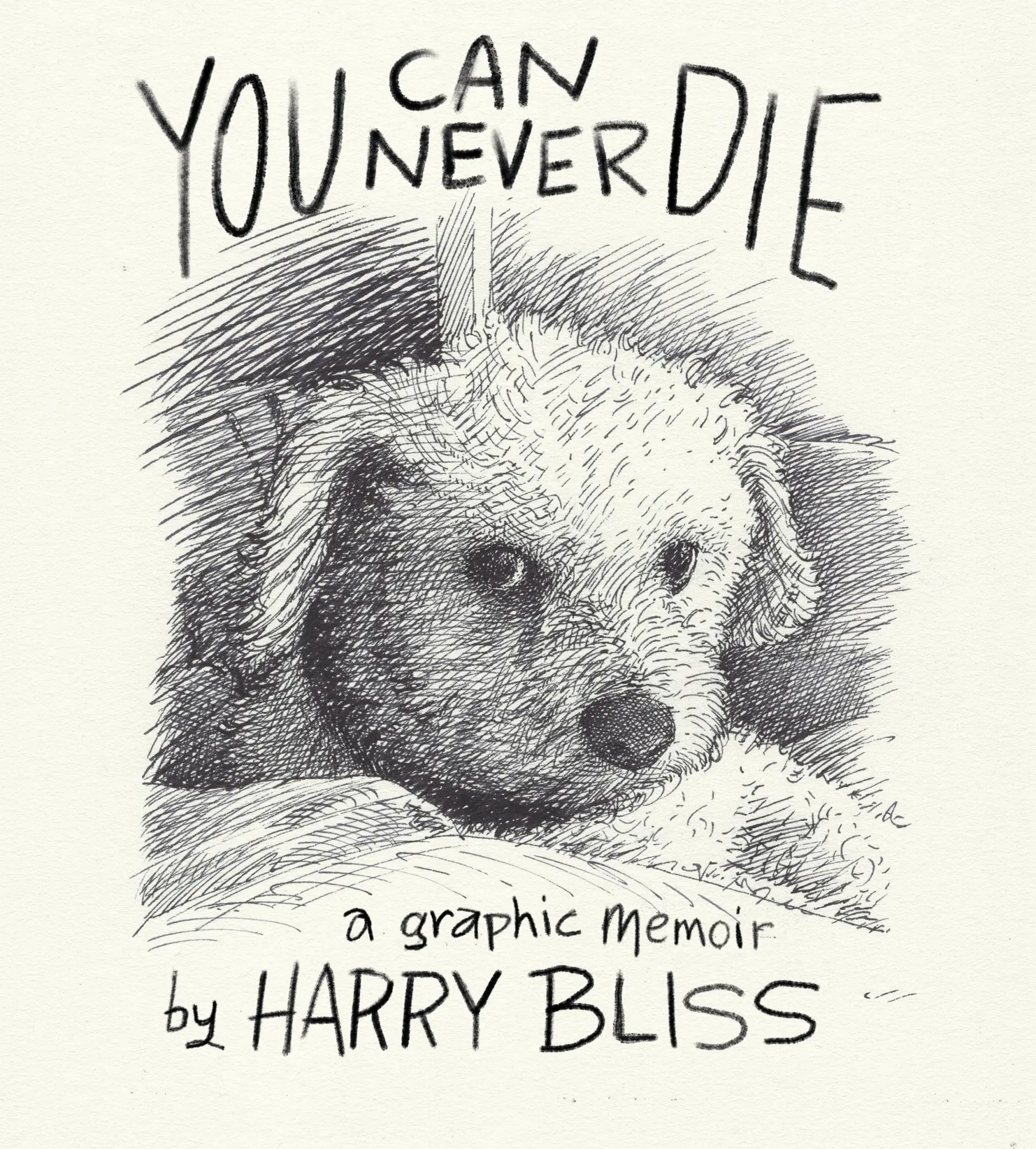 Cover: 9781250883681 | You Can Never Die | A Graphic Memoir | Harry Bliss | Buch | Englisch