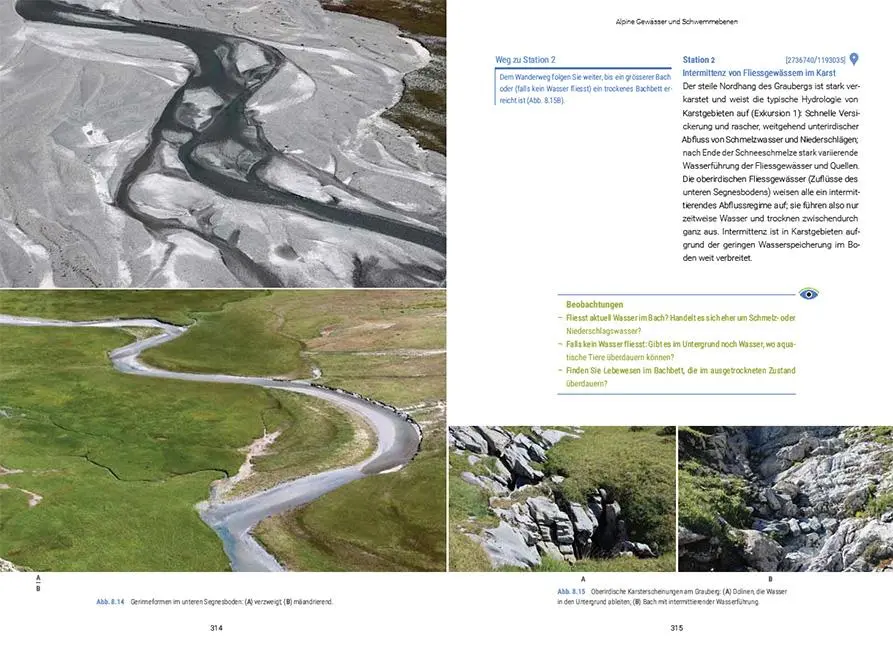 Bild: 9783258083681 | Biodiversität zwischen Wasser und Land | Florian Altermatt (u. a.)