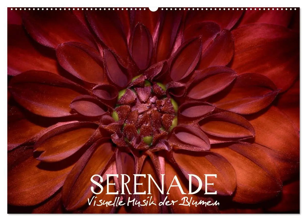 Cover: 9783516093681 | Serenade - Visuelle Musik der Blumen (Wandkalender 2026 DIN A2...