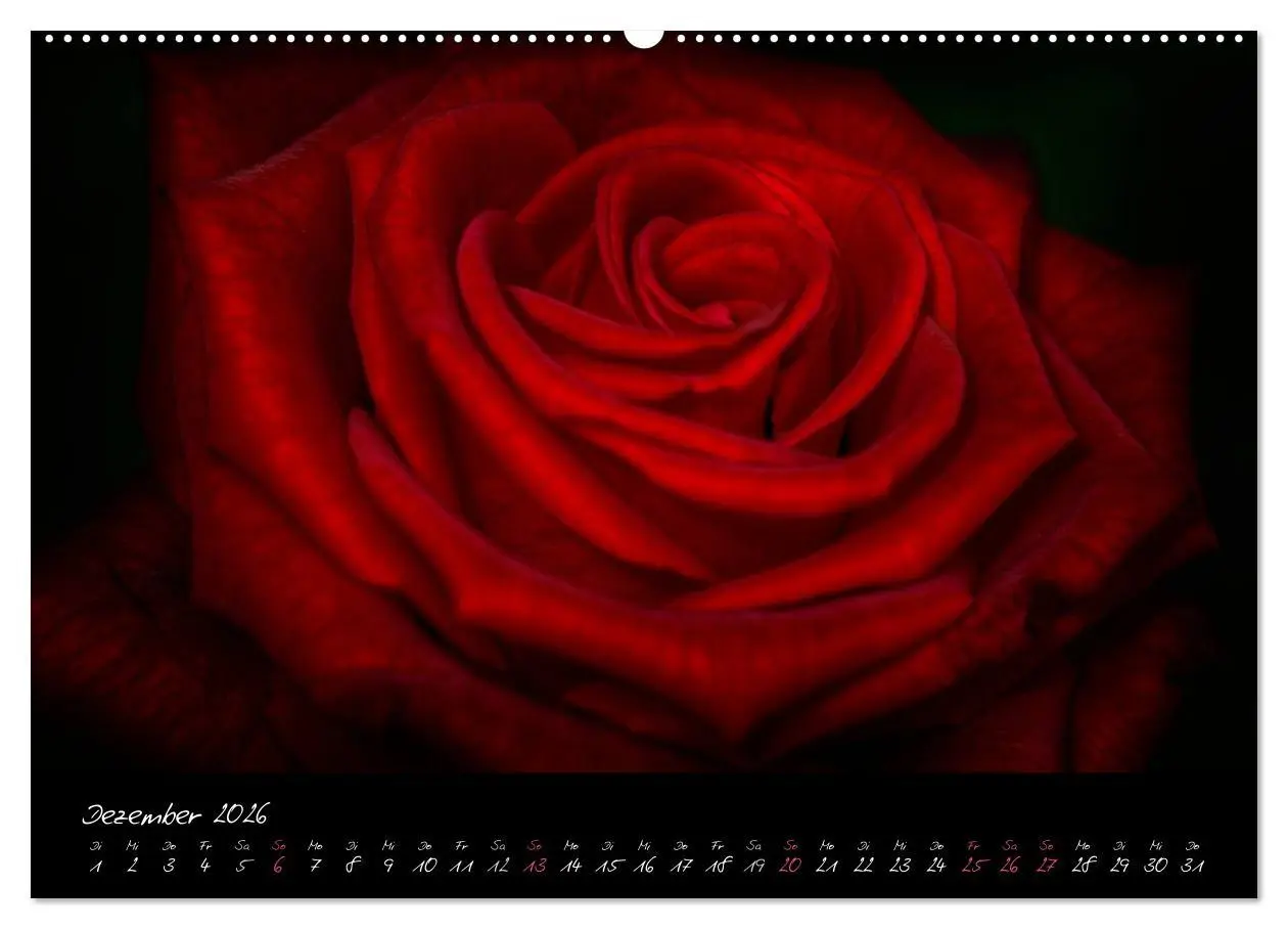 Bild: 9783516093681 | Serenade - Visuelle Musik der Blumen (Wandkalender 2026 DIN A2...