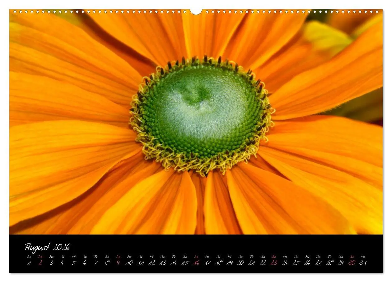 Bild: 9783516093681 | Serenade - Visuelle Musik der Blumen (Wandkalender 2026 DIN A2...