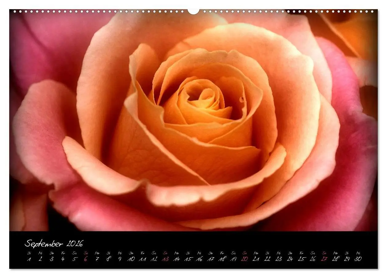 Bild: 9783516093681 | Serenade - Visuelle Musik der Blumen (Wandkalender 2026 DIN A2...