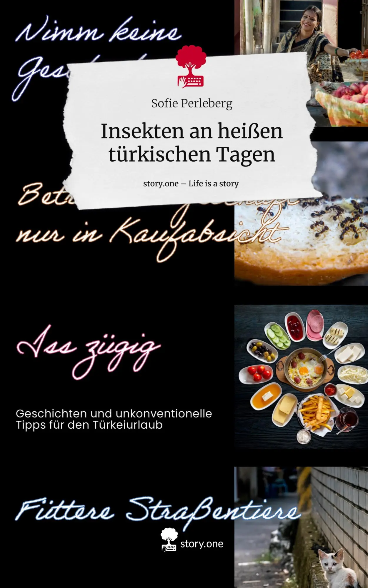 Cover: 9783711573681 | Insekten an heißen türkischen Tagen. Life is a Story - story.one