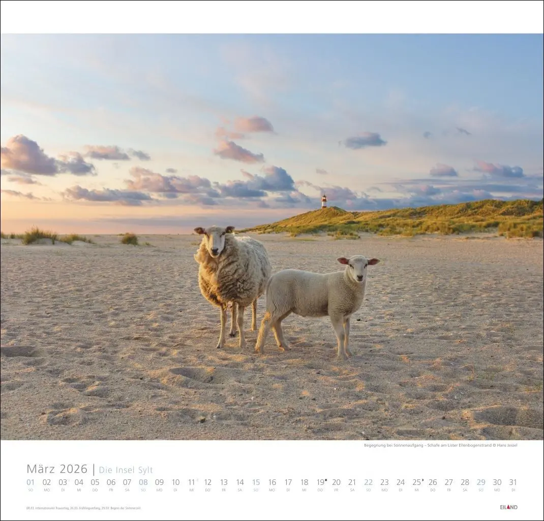 Bild: 9783964023681 | Die Insel Sylt Edition Kalender 2026 - Hans Jessel | Hans Jessel