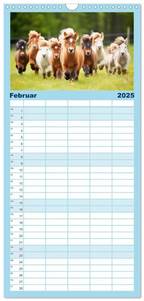 Bild: 9783457133781 | Familienplaner 2025 - Kleine Pferde. Mini-Ponys zum verlieben mit 5...