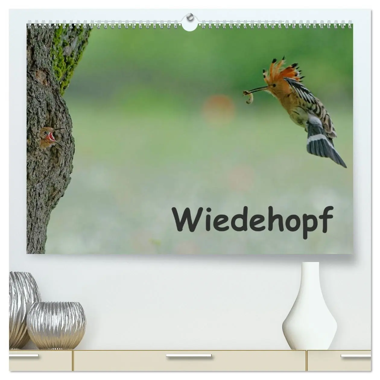 Cover: 9783457993781 | Wiedehopf (hochwertiger Premium Wandkalender 2026 DIN A2 quer),...