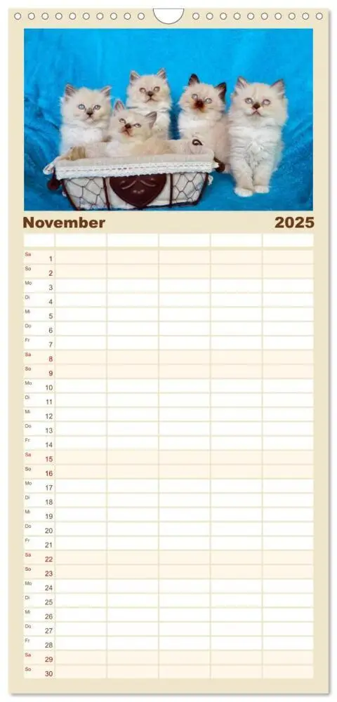 Bild: 9783457123881 | Familienplaner 2025 - Katzenparade mit 5 Spalten (Wandkalender, 21...