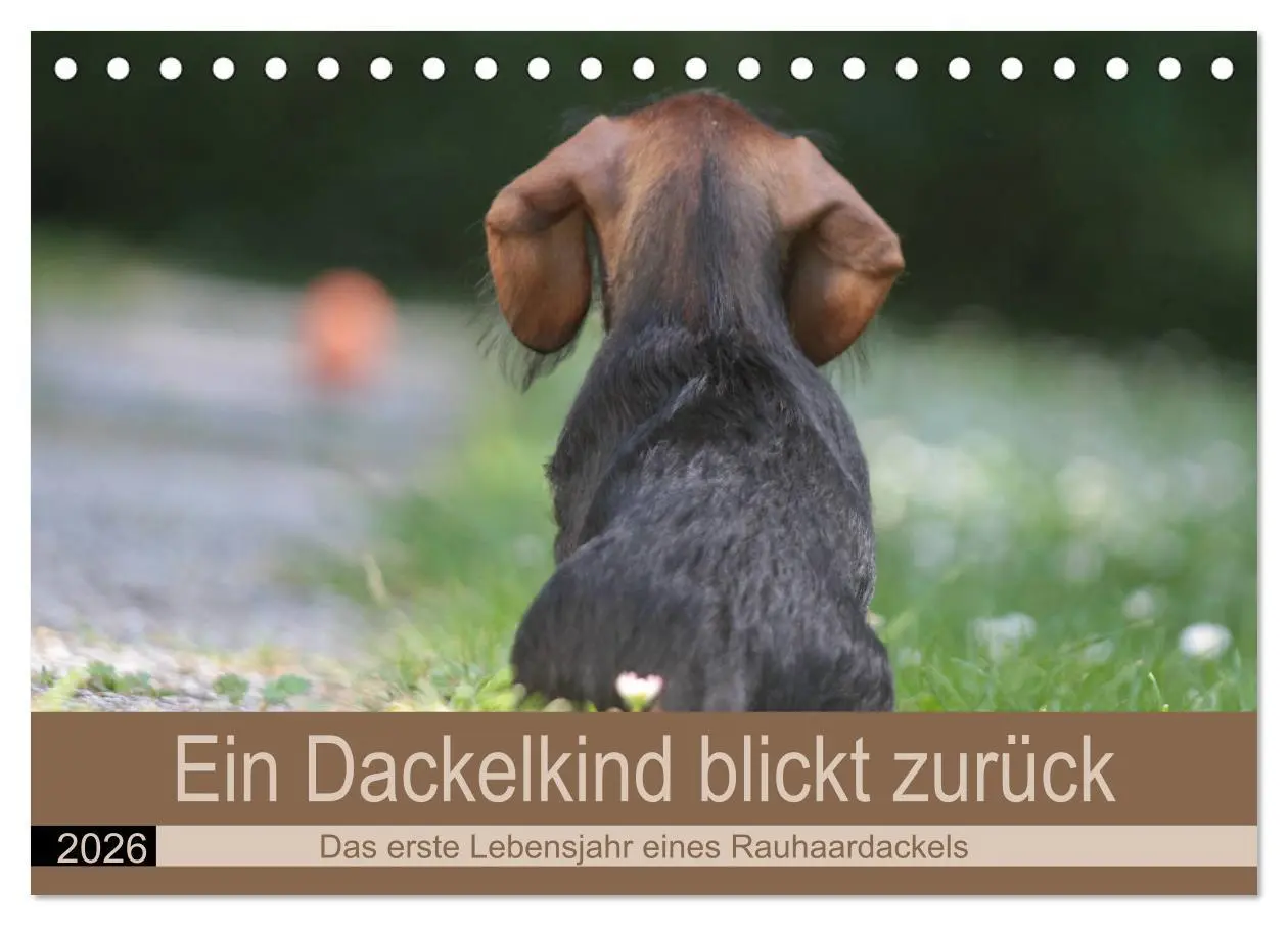 Cover: 9783457673881 | Ein Dackelkind blickt zurück (Tischkalender 2026 DIN A5 quer),...