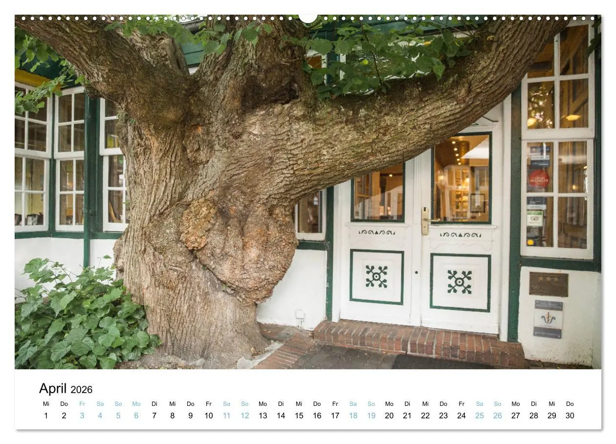 Bild: 9783457743881 | Lieblingsinsel Spiekeroog (hochwertiger Premium Wandkalender 2026...
