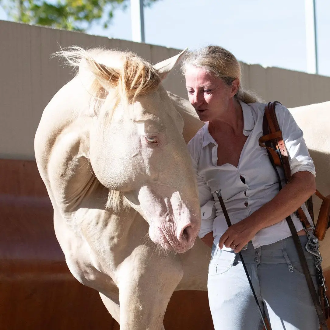 Autor: 9783384473981 | Die Geschichte des Reitens | Ulrike Ortrere | Taschenbuch | 284 S.