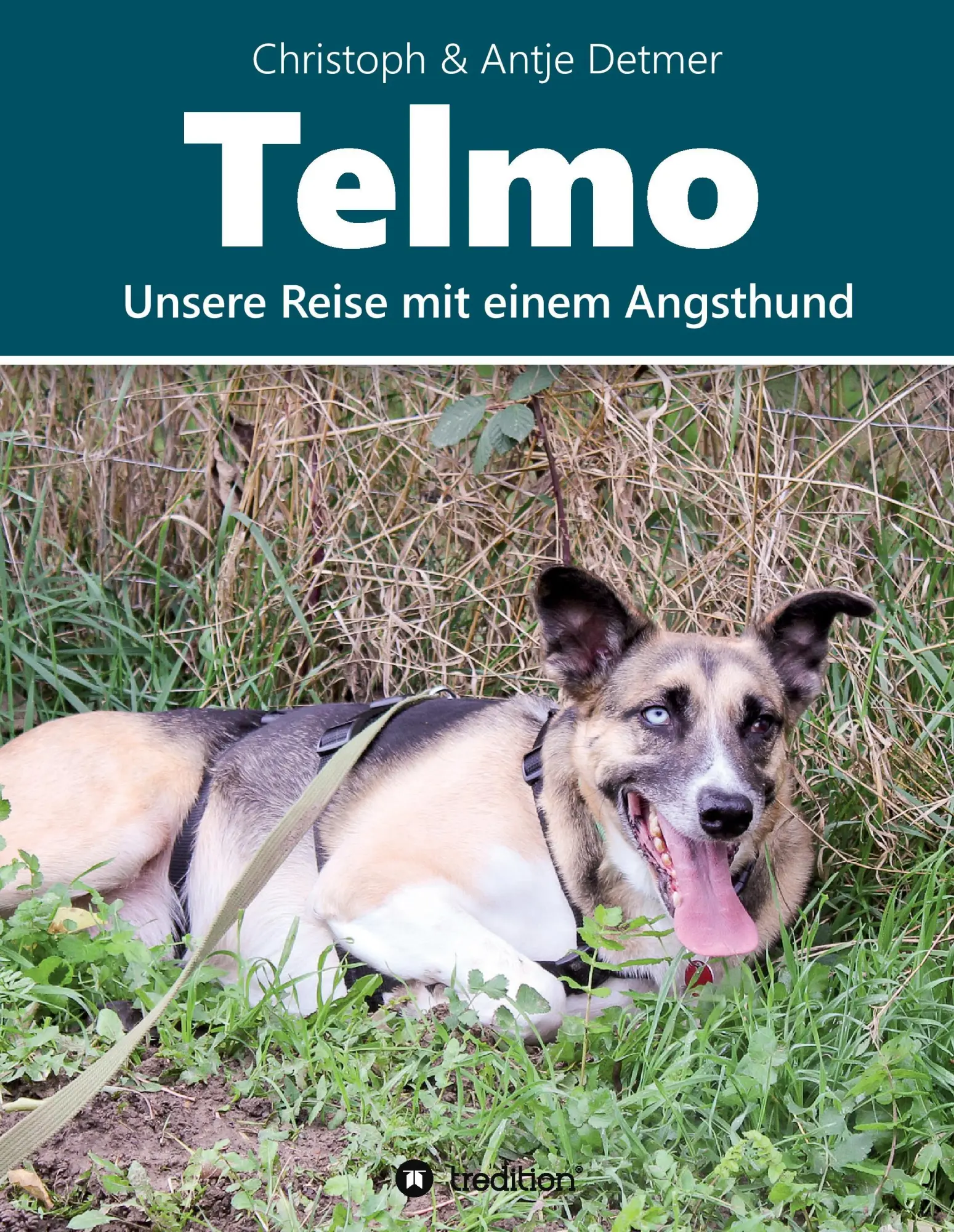 Cover: 9783743913981 | Telmo | Unsere Reise mit einem Angsthund | Christoph &amp; Antje Detmer