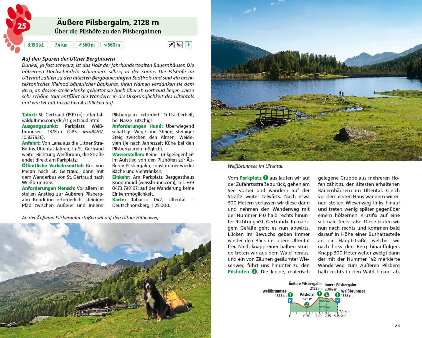 Bild: 9783763333981 | Wandern mit Hund Südtirol | Franziska Rößner | Taschenbuch | 256 S.