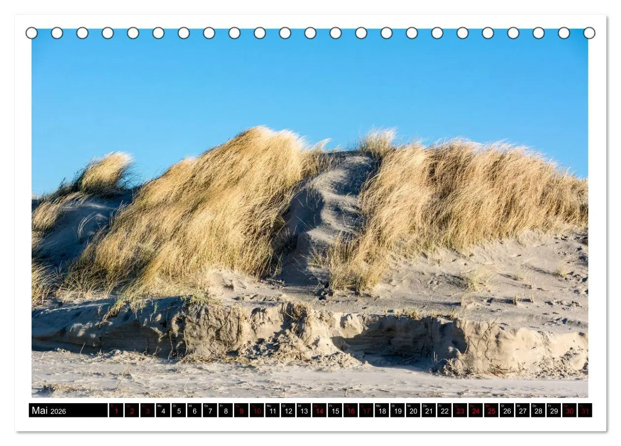 Bild: 9783457864081 | St. Peter-Ording - Natur pur (Tischkalender 2026 DIN A5 quer),...