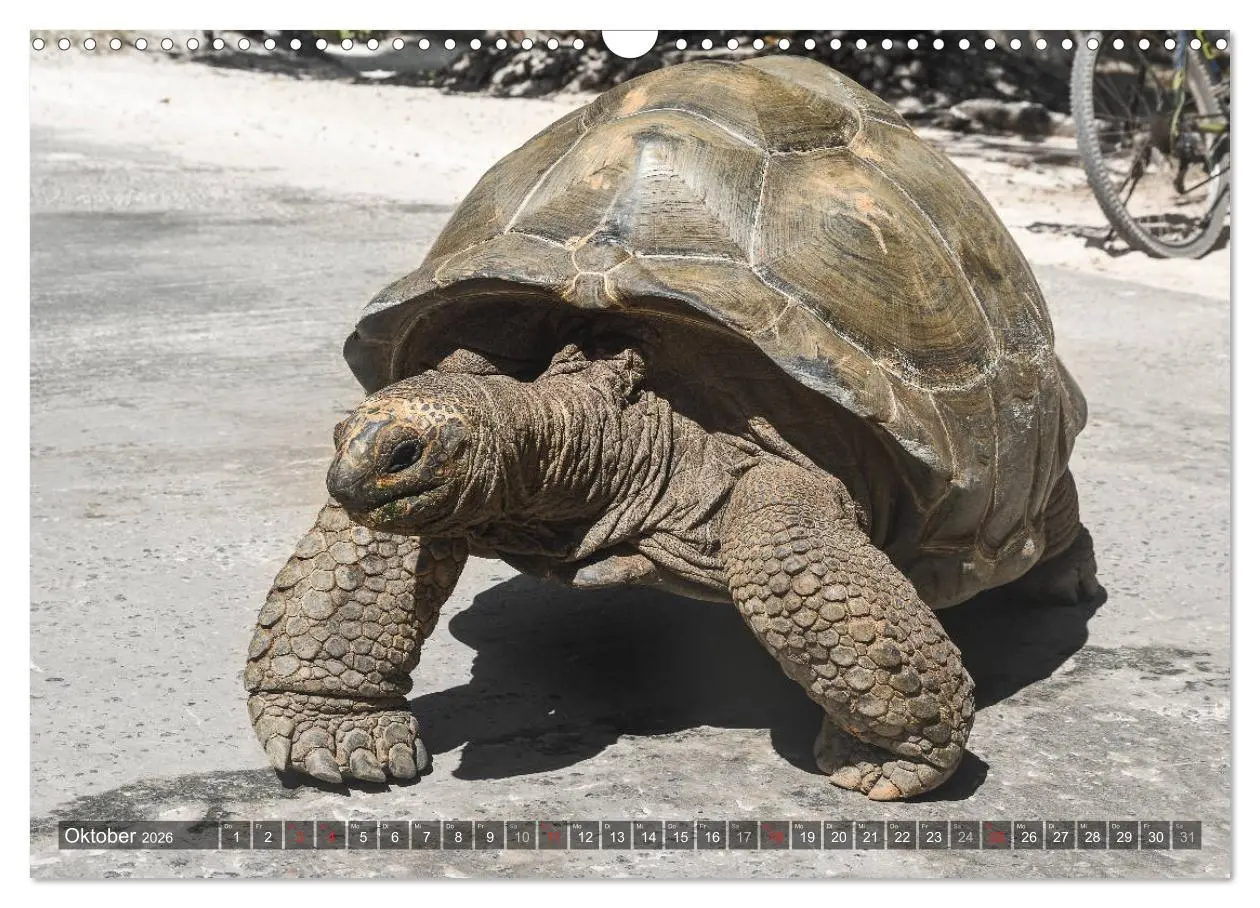 Bild: 9783457934081 | Seychellen - Das letzte Paradies auf Erden (Wandkalender 2026 DIN...