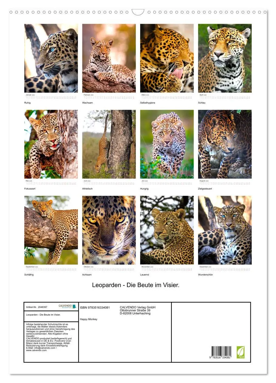 Bild: 9783516334081 | Leoparden - Die Beute im Visier. (Wandkalender 2026 DIN A2 hoch),...