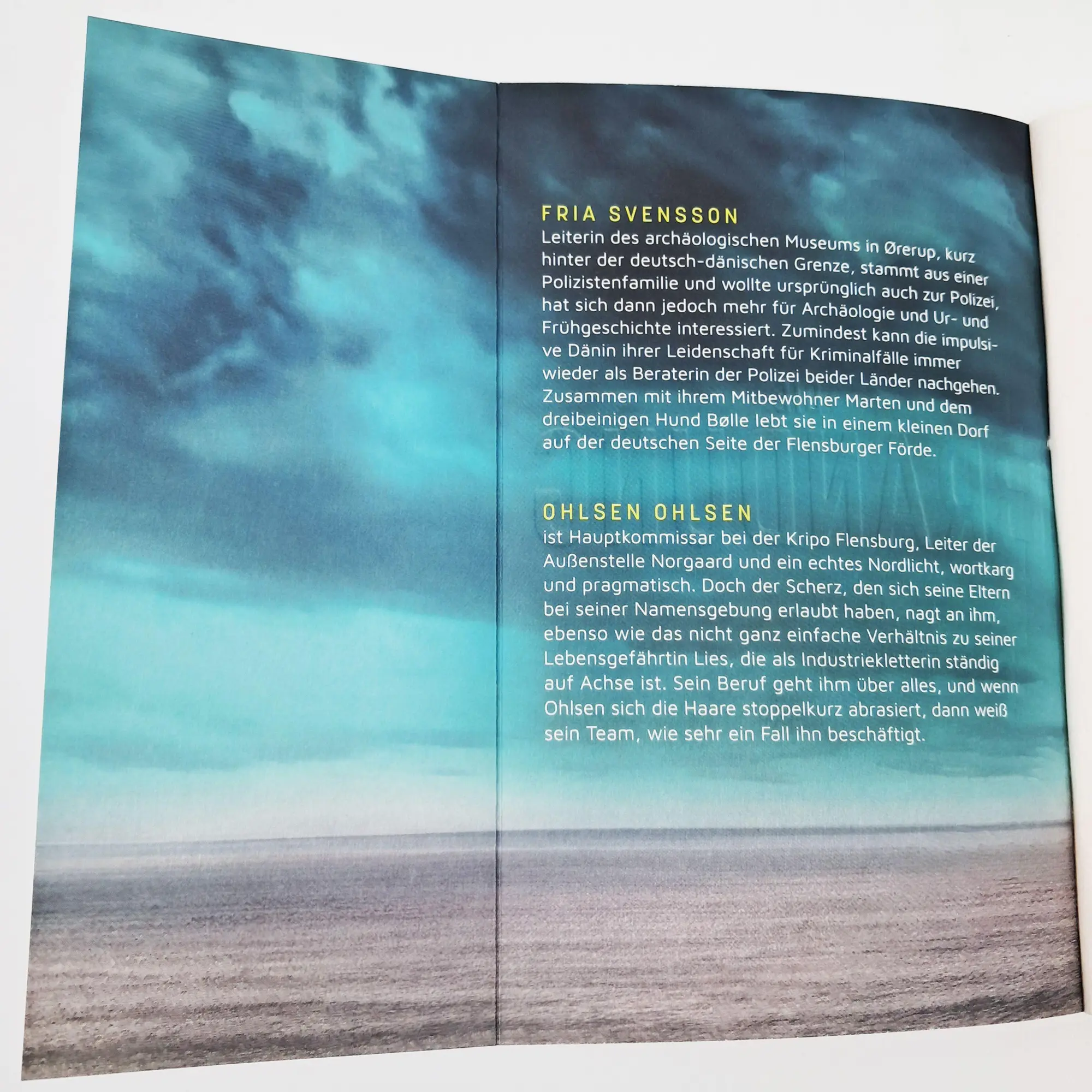 Bild: 9783423264181 | Die Brandung - Nebelschwester | Karen Kliewe | Taschenbuch | 380 S.