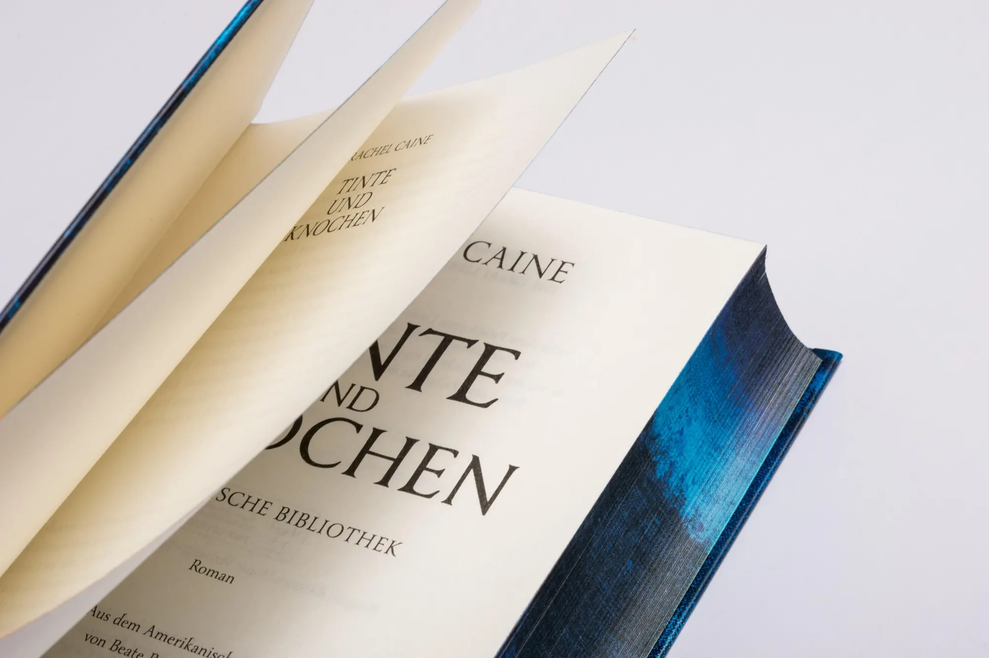 Bild: 9783453274181 | Tinte und Knochen - Die Magische Bibliothek | Rachel Caine | Buch