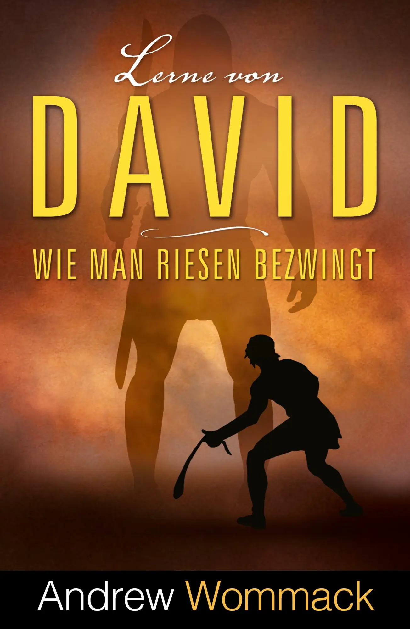 Cover: 9783959334181 | Lerne von David | Wie man Riesen bezwingt | Andrew Wommack | Buch