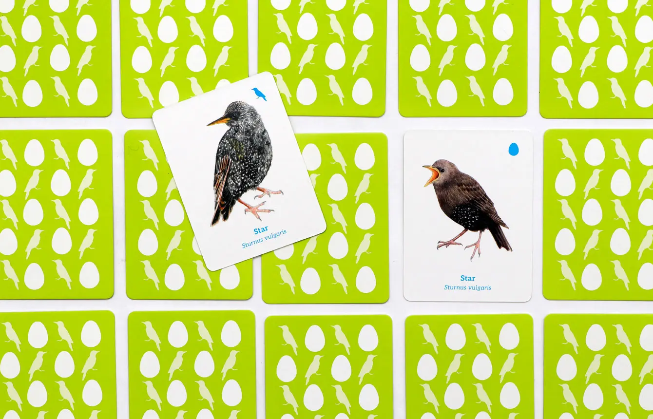 Bild: 9783962444181 | Finde das Vogelbaby | Ein Memo-Spiel | RSPB | Spiel | Deutsch | 2025
