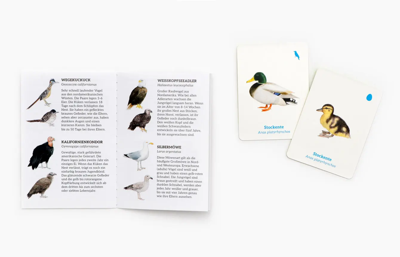 Bild: 9783962444181 | Finde das Vogelbaby | Ein Memo-Spiel | RSPB | Spiel | Deutsch | 2025