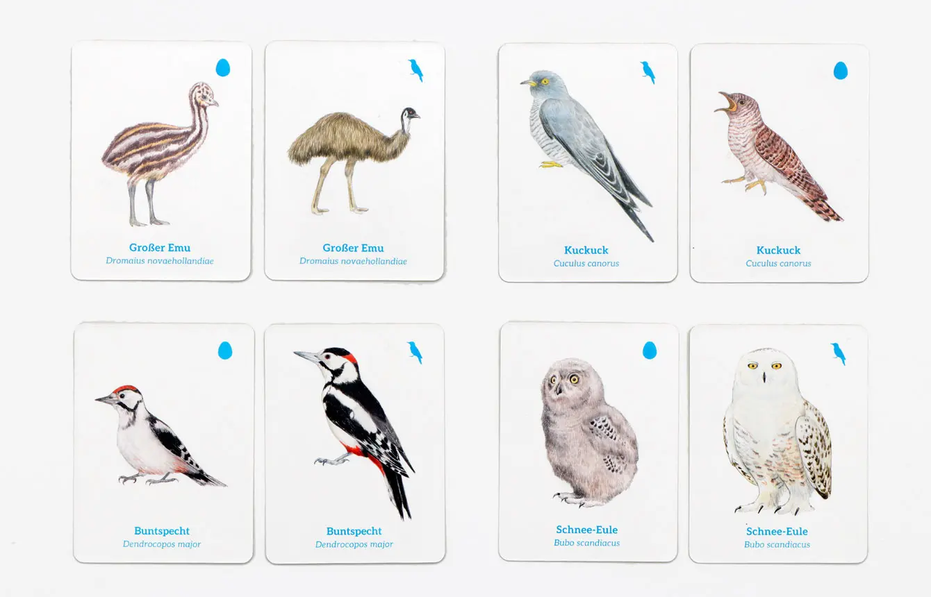 Bild: 9783962444181 | Finde das Vogelbaby | Ein Memo-Spiel | RSPB | Spiel | Deutsch | 2025