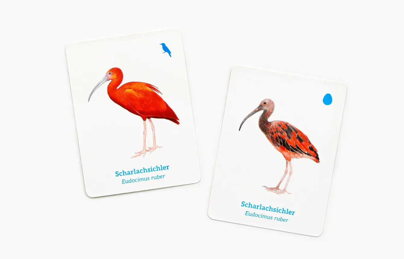 Bild: 9783962444181 | Finde das Vogelbaby | Ein Memo-Spiel | RSPB | Spiel | Deutsch | 2025