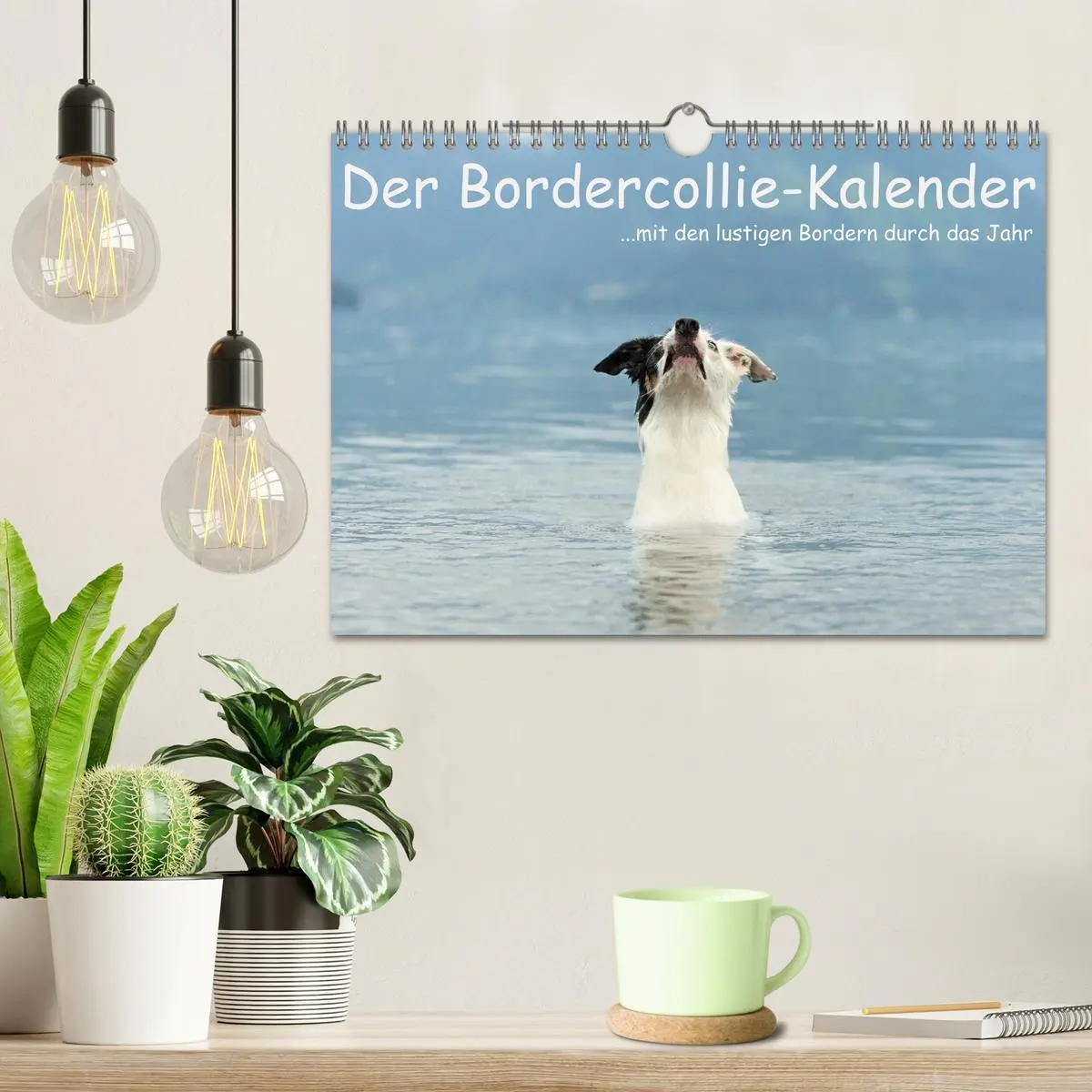 Bild: 9783516174281 | Der Bordercollie-Kalender (Wandkalender 2026 DIN A4 quer), CALVENDO...