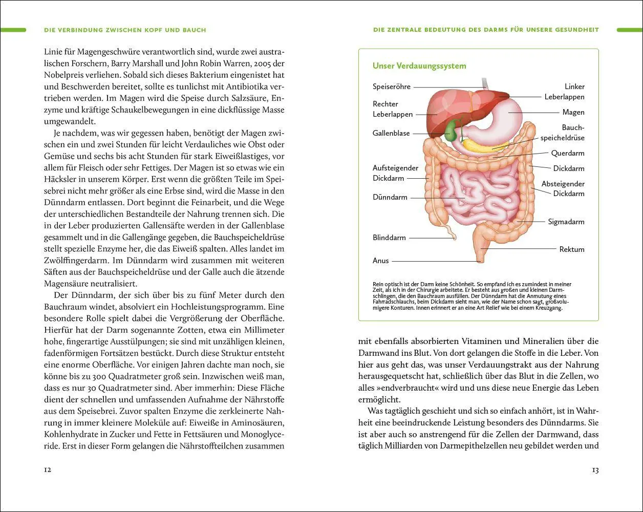 Bild: 9783458684381 | Ernährung. Meine Quintessenz | Andreas Michalsen | Taschenbuch | 2026