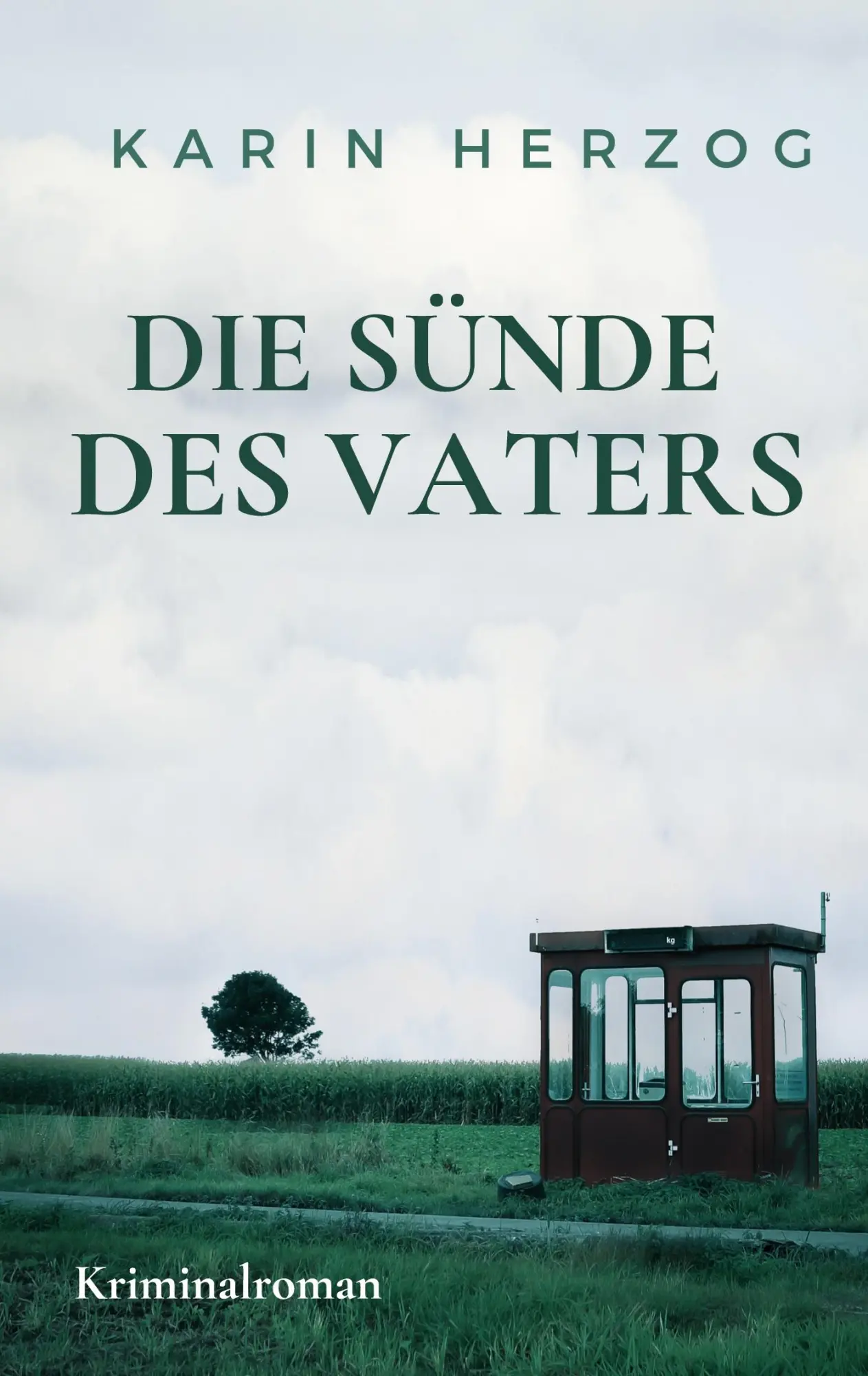 Cover: 9783754384381 | Die Sünde des Vaters | Der zweite Nordfall für Steffen Felder | Herzog