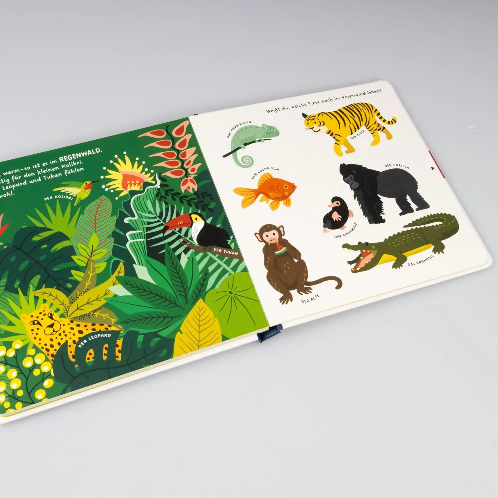Bild: 9783551254481 | Kennst du die Tiere? | Kathrin Wessel | Buch | Mit Schiebern | 14 S.