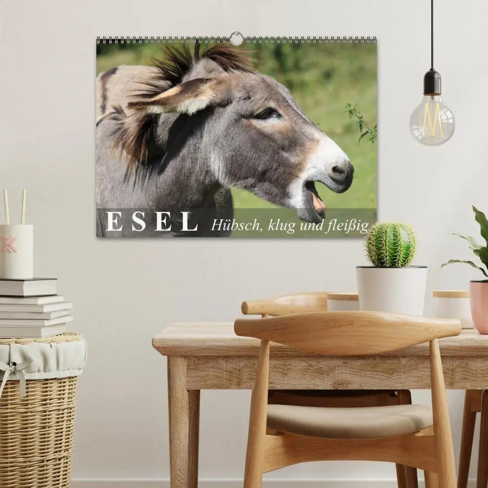 Bild: 9783435654581 | Esel - hübsch, klug und fleißig (Wandkalender 2025 DIN A3 quer),...