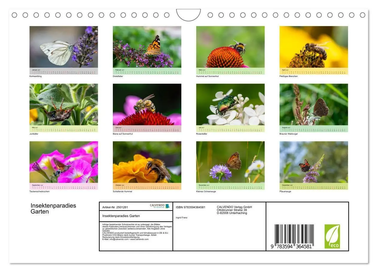 Bild: 9783594364581 | Insektenparadies Garten (Wandkalender 2027 DIN A4 quer), CALVENDO...
