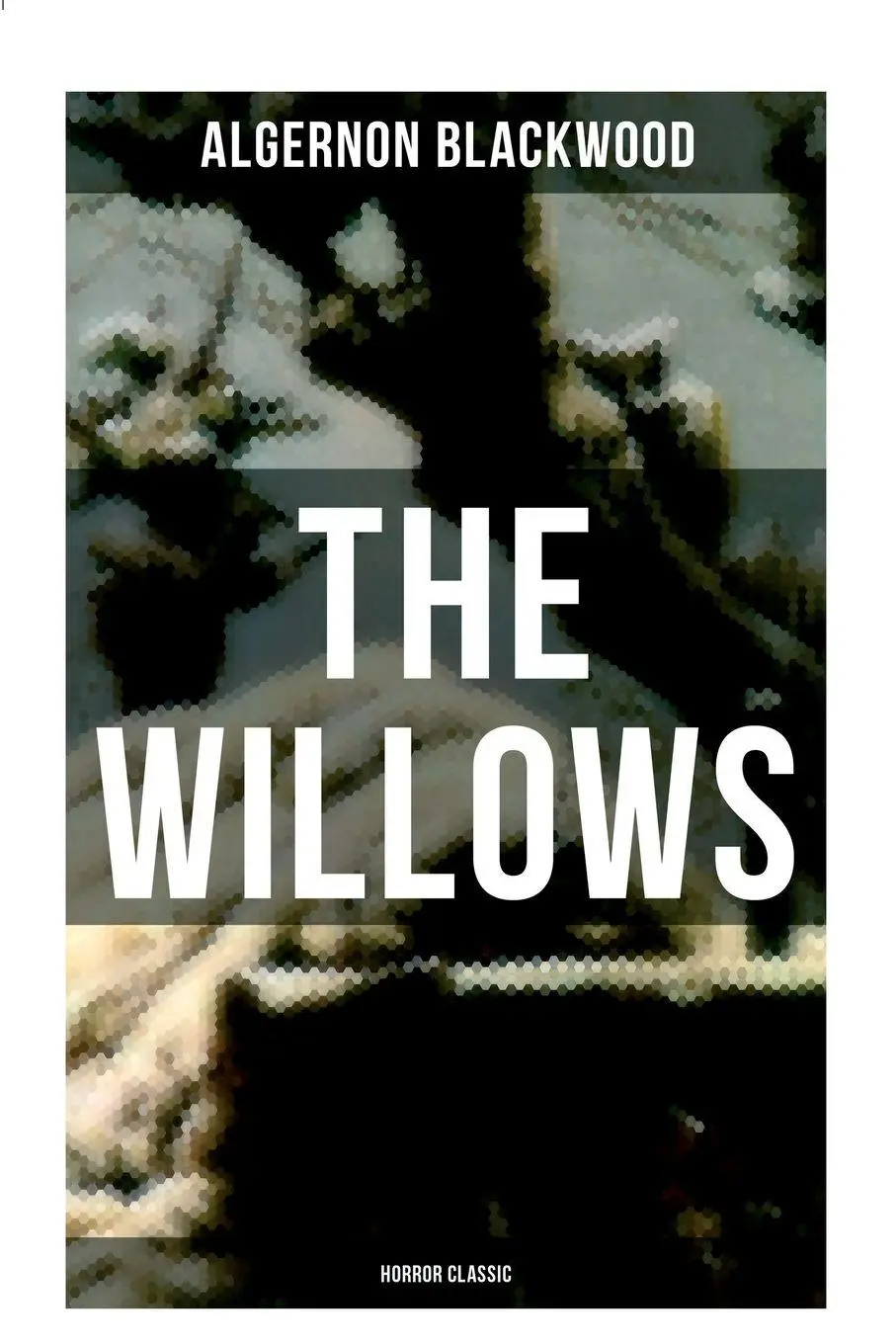 Cover: 9788027274581 | The Willows (Horror Classic) | Algernon Blackwood | Taschenbuch | 2022