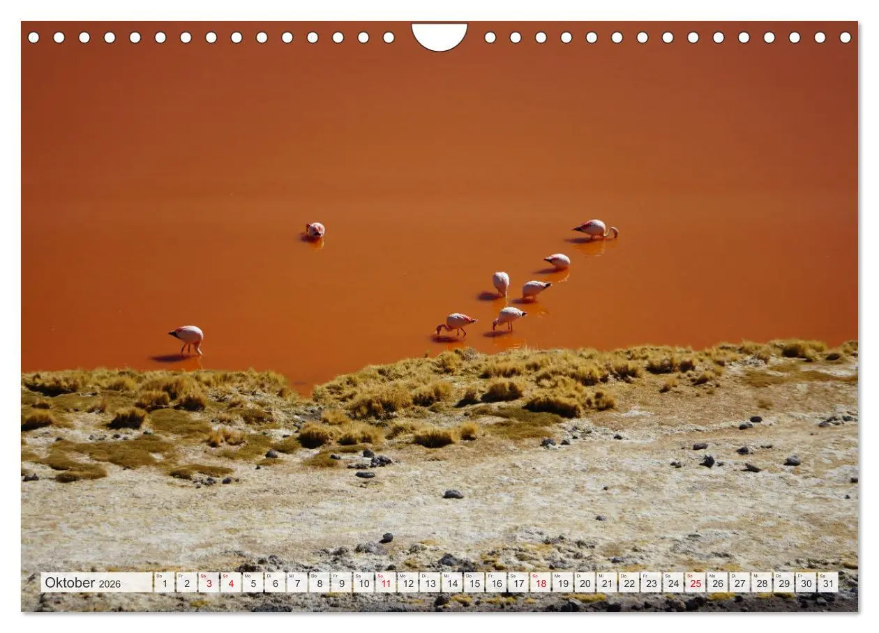 Bild: 9783457354681 | Bolivien - Unterwegs im Hochland (Wandkalender 2026 DIN A4 quer),...