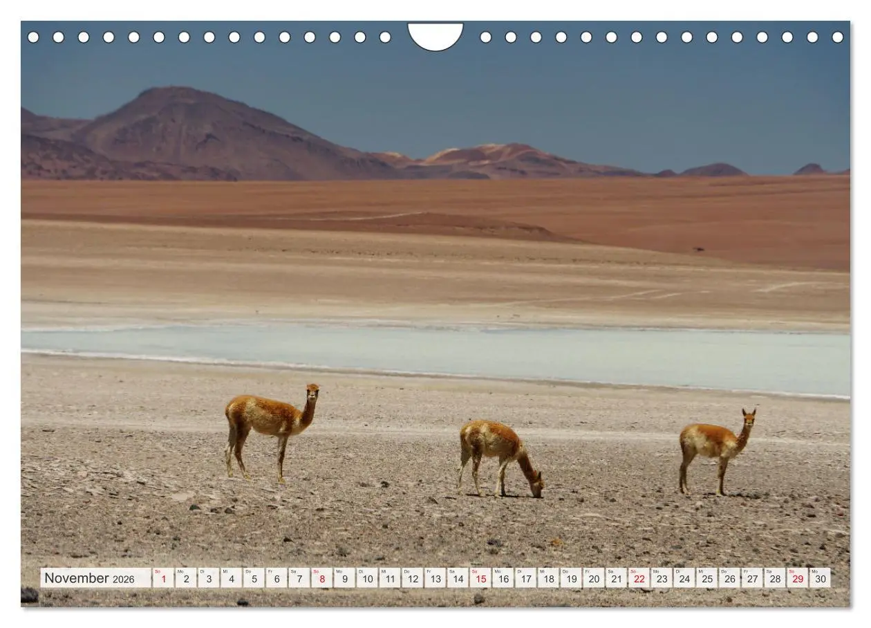 Bild: 9783457354681 | Bolivien - Unterwegs im Hochland (Wandkalender 2026 DIN A4 quer),...