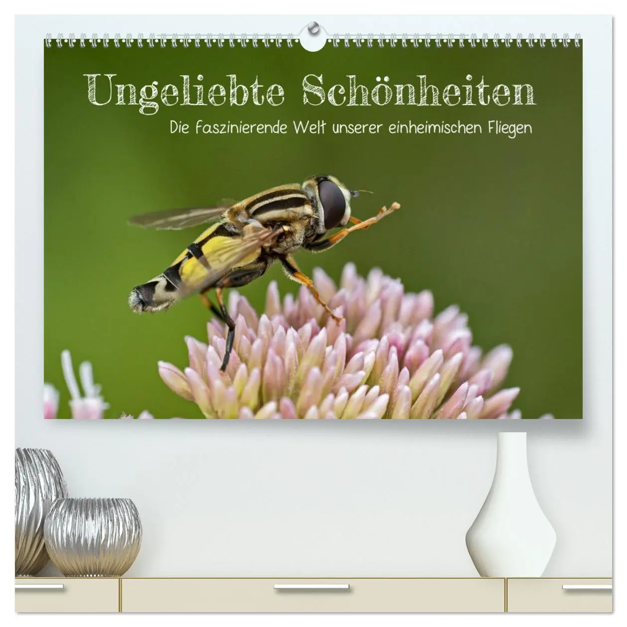 Cover: 9783457424681 | Ungeliebte Schönheiten - die faszinierende Welt unserer heimischen...