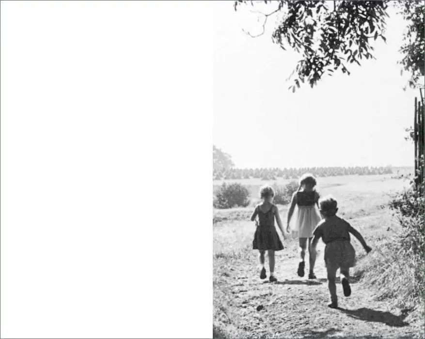 Bild: 9783518424681 | Eine Wiege | Angela Krauß | Buch | 120 S. | Deutsch | 2015 | Suhrkamp