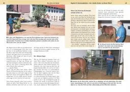Bild: 9783275014781 | Be strict im Sattel | Michael Geitner | Buch | 157 S. | Deutsch | 2007