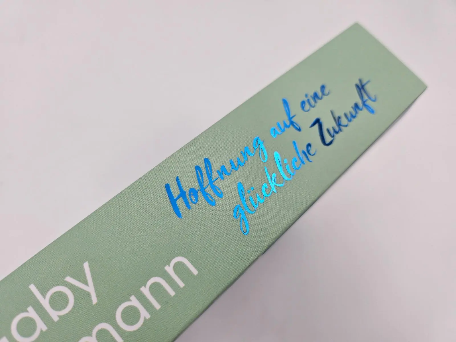 Bild: 9783492064781 | Hoffnung auf eine glückliche Zukunft | Gaby Hauptmann | Taschenbuch
