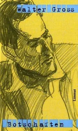 Cover: 9783857914881 | Werke und Briefe, 2 Teile. Antworten, 2 Bde. | Walter Groß | Bundle