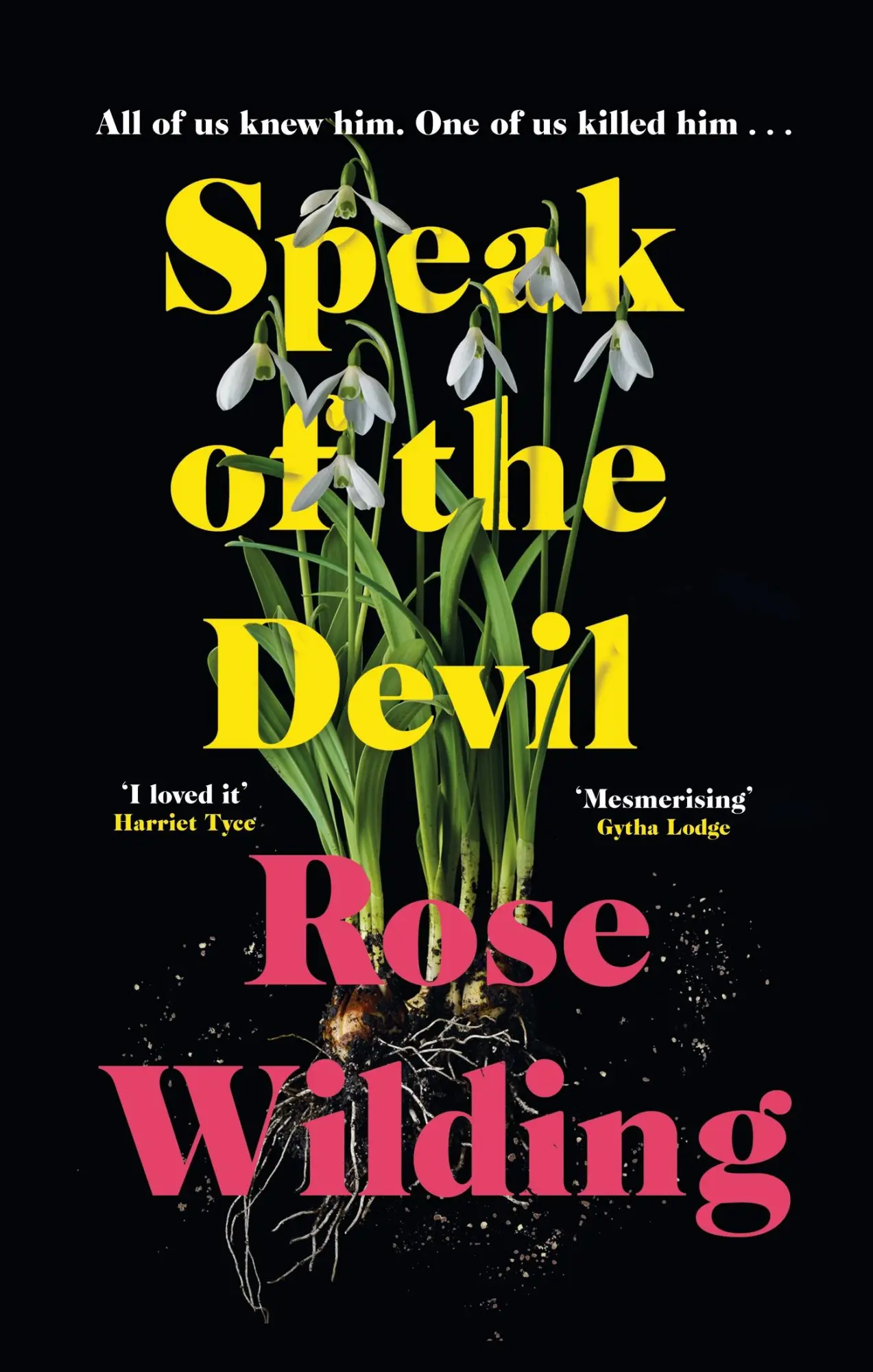 Cover: 9781399804981 | Speak of the Devil | The ultimate revenge thriller | Rose Wilding
