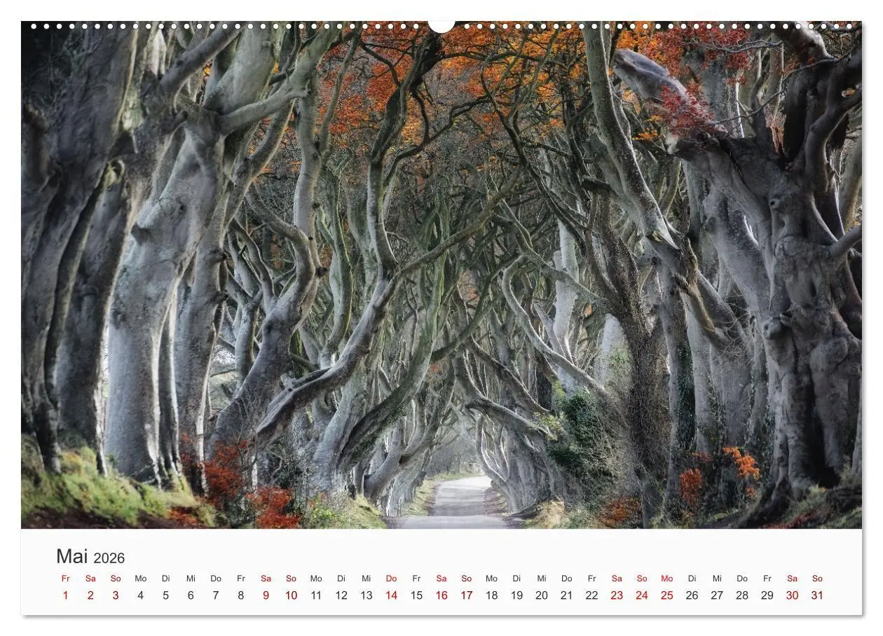 Bild: 9783457704981 | Naturschauspiel Irland (hochwertiger Premium Wandkalender 2026 DIN...
