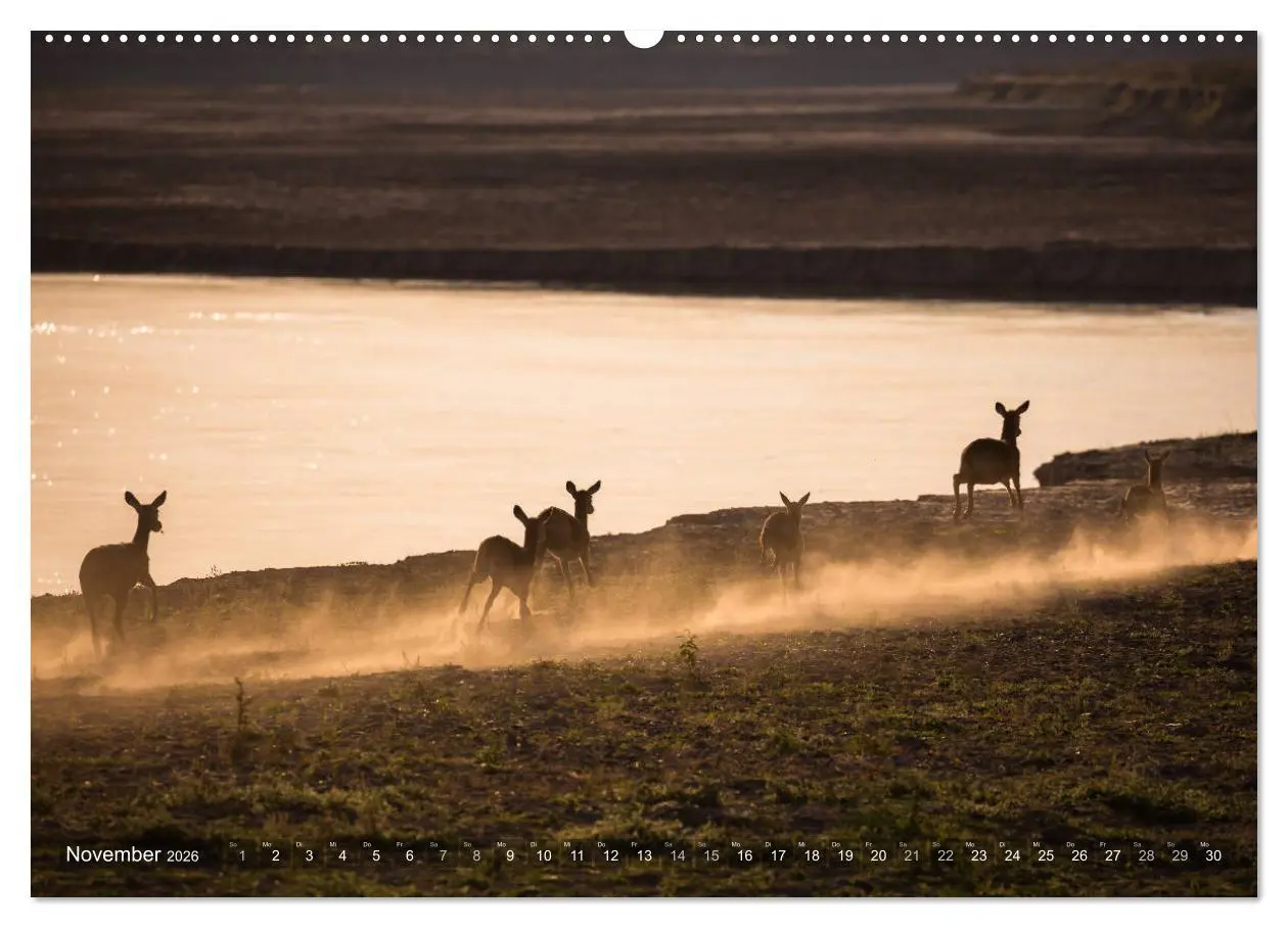 Bild: 9783457874981 | Abenteuer Sambia (Wandkalender 2026 DIN A2 quer), CALVENDO...